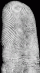 Identity