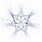 Fractal Flower